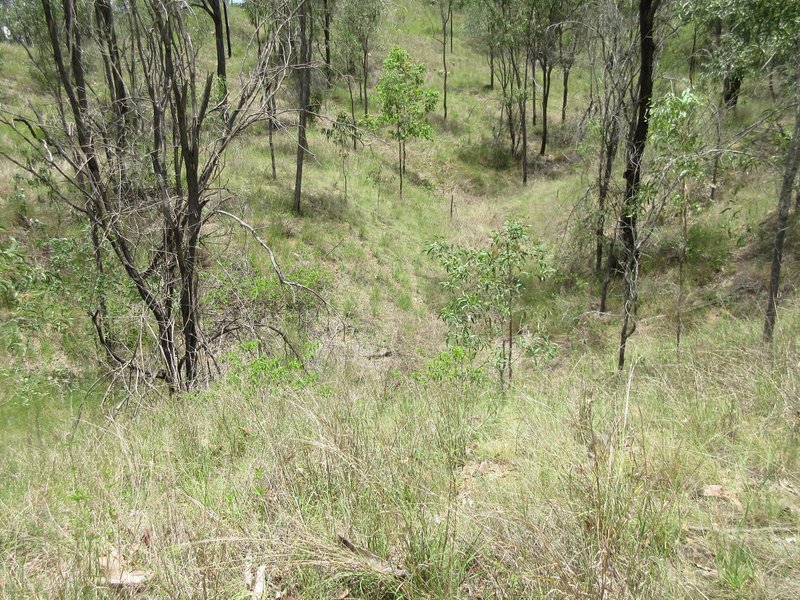 Photo - Lot 1 Walters Road, New Moonta QLD 4671 - Image 19