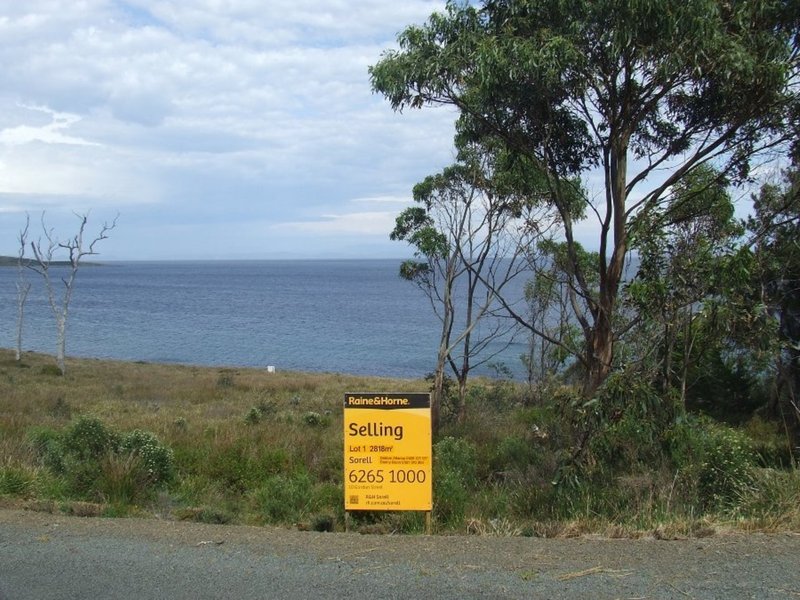 Photo - Lot 1 White Beach Road, White Beach TAS 7184 - Image 4