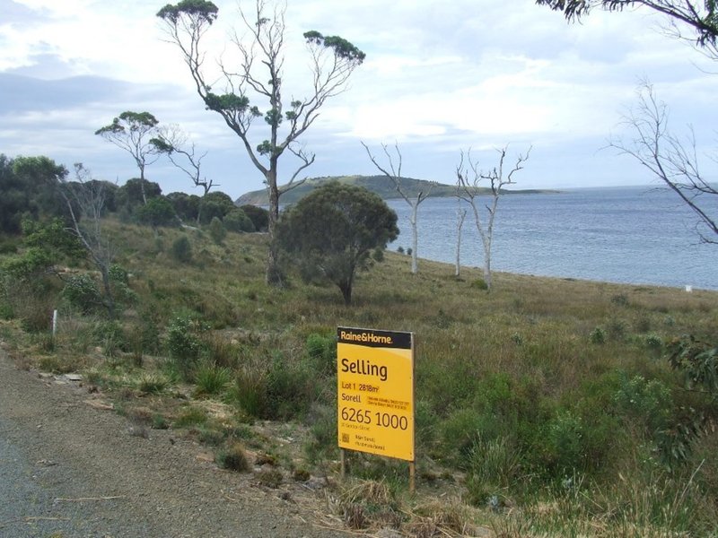 Photo - Lot 1 White Beach Road, White Beach TAS 7184 - Image 5