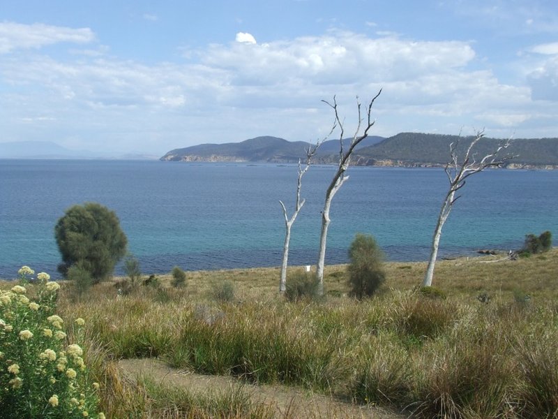 Photo - Lot 1 White Beach Road, White Beach TAS 7184 - Image 7