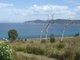 Photo - Lot 1 White Beach Road, White Beach TAS 7184 - Image 7