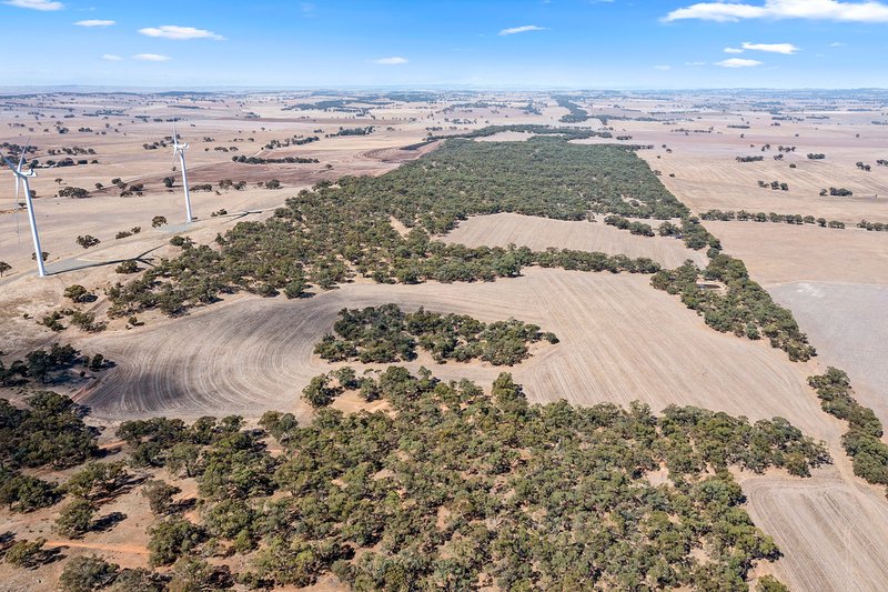 Photo - Lot 1 Whyte Park Road, Steelton SA 5413 - Image 2