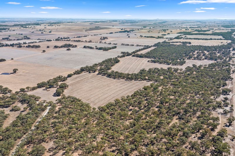 Photo - Lot 1 Whyte Park Road, Steelton SA 5413 - Image 12