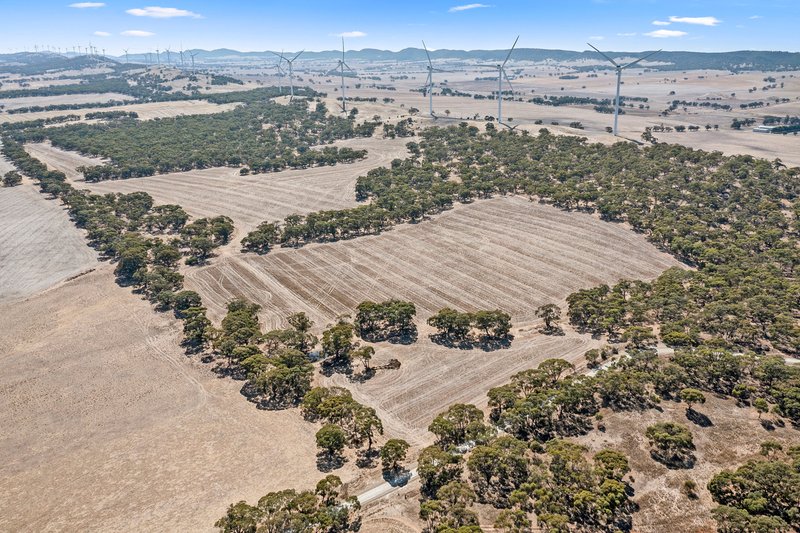 Photo - Lot 1 Whyte Park Road, Steelton SA 5413 - Image 13