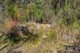 Photo - Lot 1 Woodbridge Hill Road, Woodbridge TAS 7162 - Image 5