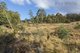 Photo - Lot 1 Yarlington Road, Colebrook TAS 7027 - Image 9