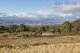 Photo - Lot 1 Yarlington Road, Colebrook TAS 7027 - Image 11