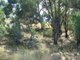 Photo - Lot 10 / 104 Lachlan Waters Road, Wyangala Dam NSW 2808 - Image 2