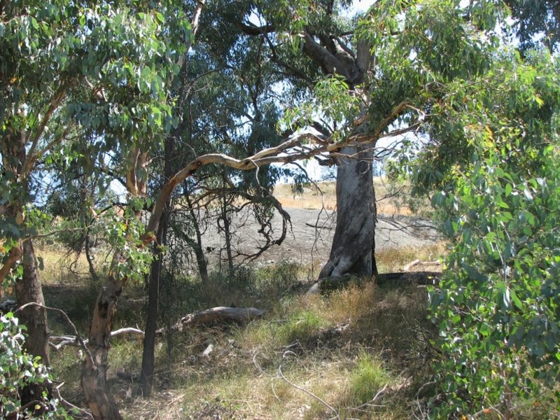 Photo - Lot 10 / 104 Lachlan Waters Road, Wyangala Dam NSW 2808 - Image 3