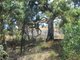 Photo - Lot 10 / 104 Lachlan Waters Road, Wyangala Dam NSW 2808 - Image 3