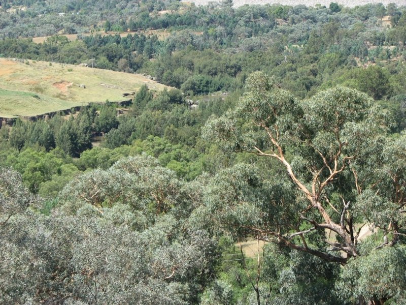 Photo - Lot 10 / 104 Lachlan Waters Road, Wyangala Dam NSW 2808 - Image 9