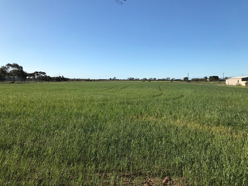 Photo - Lot 10 / 4676 Copper Coast Highway, Kadina SA 5554 - Image 7