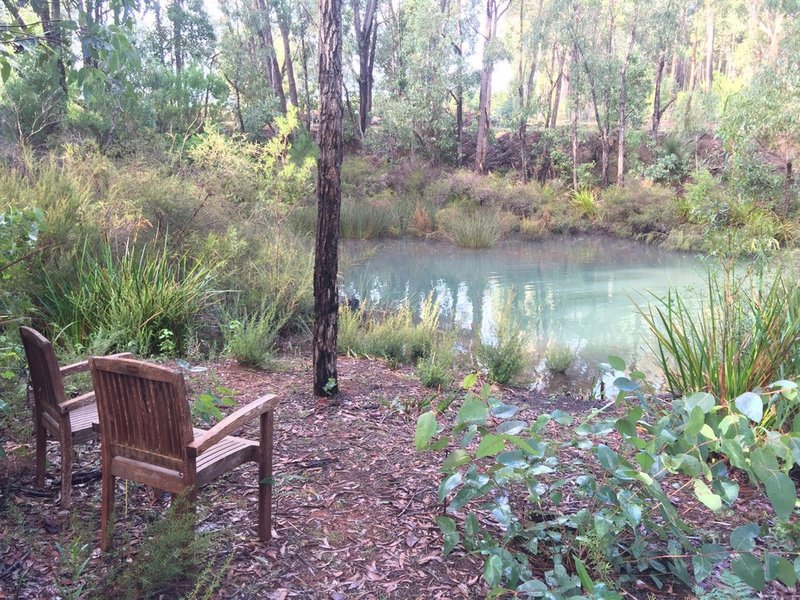 Photo - Lot 10 Denny Road, Nannup WA 6275 - Image 19