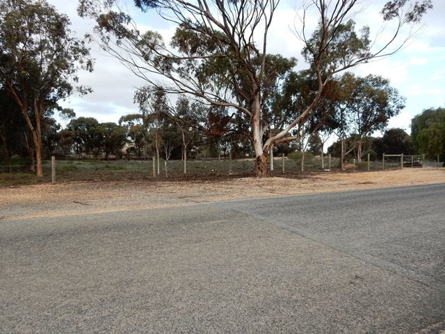 Photo - Lot 10 East Street, Port Wakefield SA 5550 - Image 5