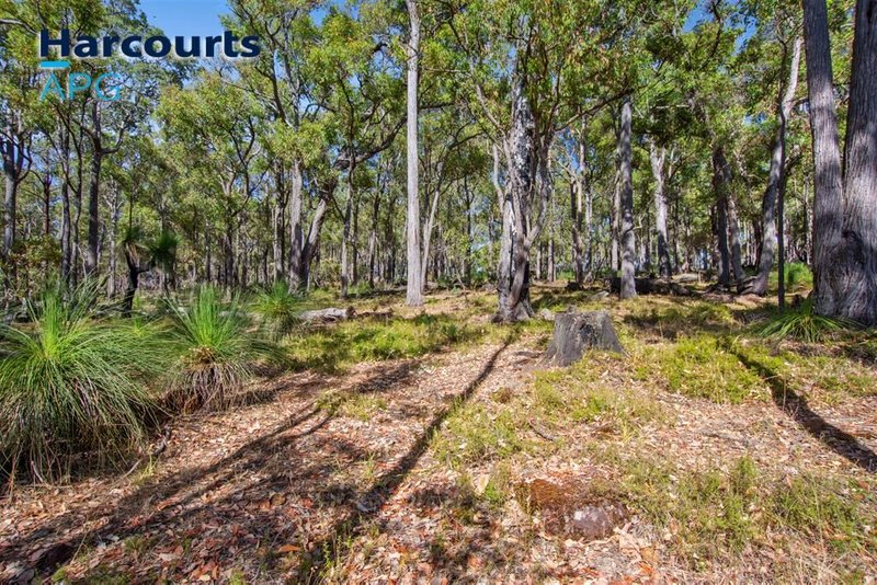 Photo - Lot 100 Irishtown Road, Donnybrook WA 6239 - Image 18