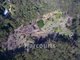 Photo - Lot 100 Rosella Place, Arakoon NSW 2431 - Image 13