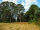 Photo - Lot 100 Royal Palm Drive, Sawtell NSW 2452 - Image 4