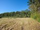 Photo - Lot 100 Royal Palm Drive, Sawtell NSW 2452 - Image 6