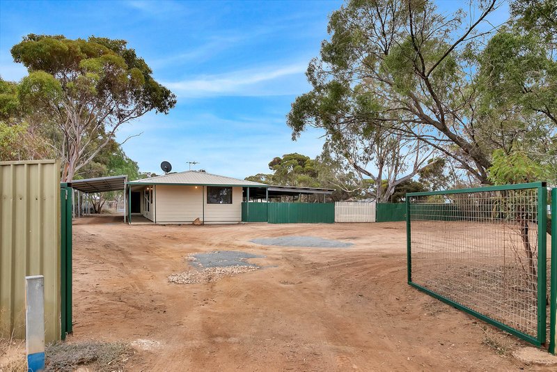 Photo - Lot 100 Wild Horse Street, Wild Horse Plains SA 5501 - Image 18