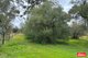 Photo - Lot 101 Church Street, Williamstown SA 5351 - Image 4