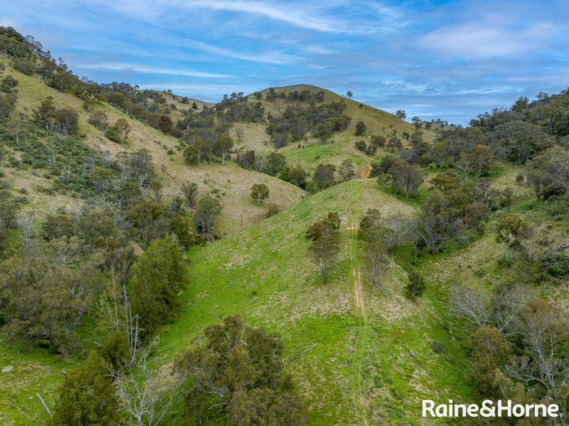 Photo - Lot 101 Hanworth Road Bannaby Via , Taralga NSW 2580 - Image 16