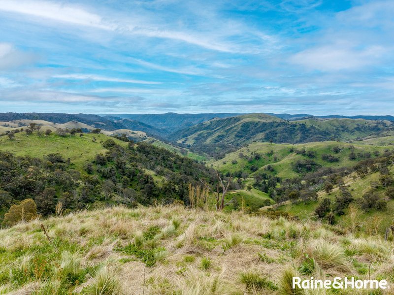 Photo - Lot 101 Hanworth Road Bannaby Via , Taralga NSW 2580 - Image 19