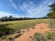 Photo - Lot 101 Kingsley Road, Eumungerie NSW 2822 - Image 3