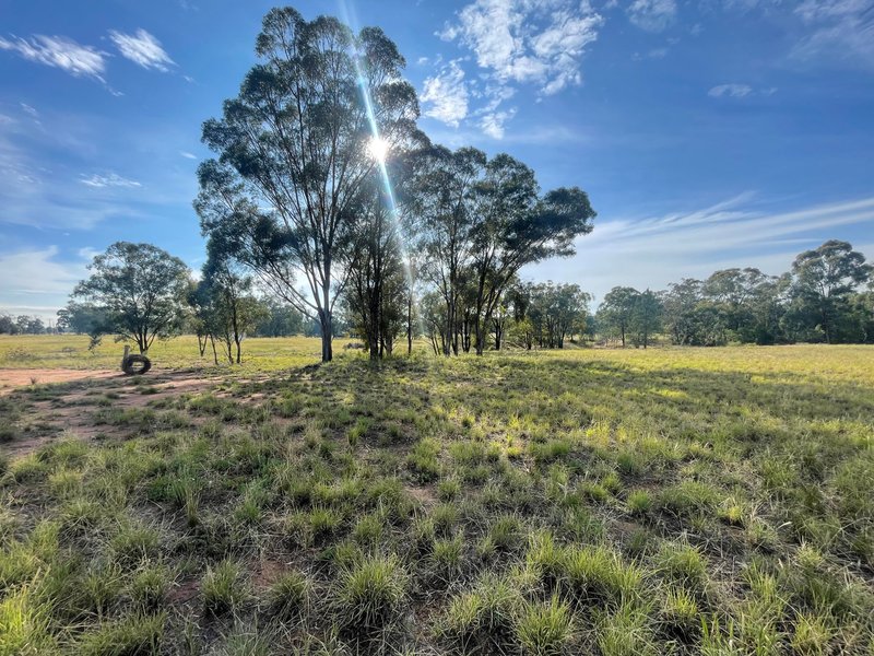 Photo - Lot 101 Kingsley Road, Eumungerie NSW 2822 - Image 4