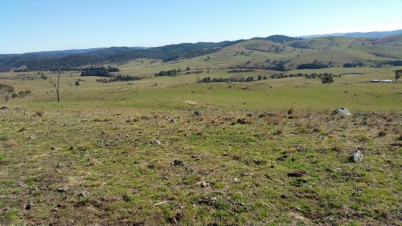 Lot 101 Longview Road, Big Hill NSW 2579