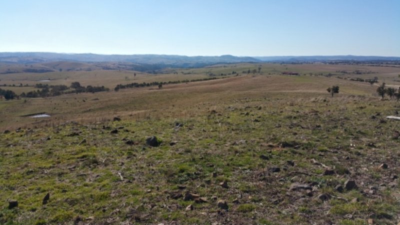 Photo - Lot 101 Longview Road, Big Hill NSW 2579 - Image 2