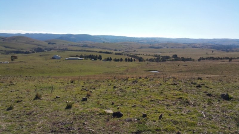 Photo - Lot 101 Longview Road, Big Hill NSW 2579 - Image 3