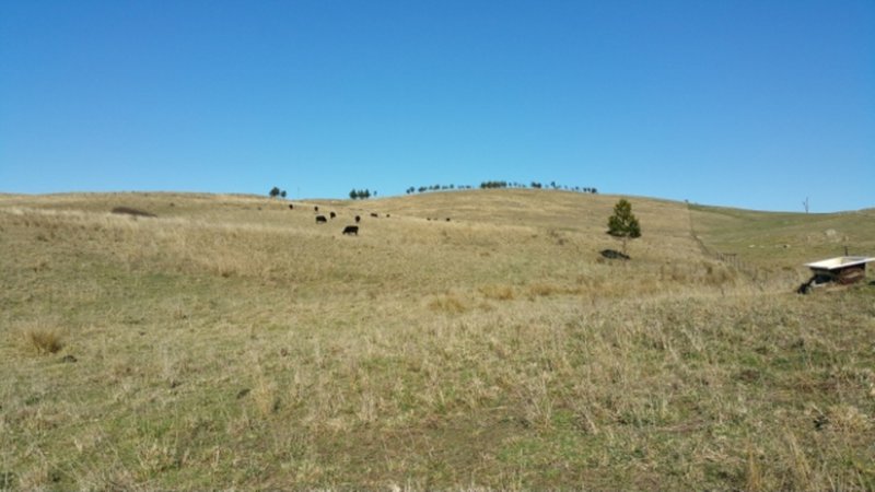 Photo - Lot 101 Longview Road, Big Hill NSW 2579 - Image 5