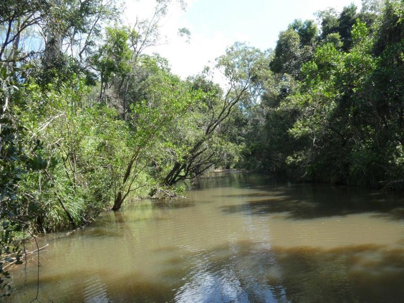 Photo - Lot 101 Mollenhagens Road, Rosedale QLD 4674 - Image