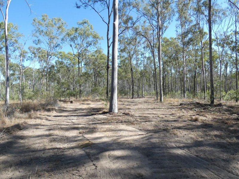 Photo - Lot 101 Mollenhagens Road, Rosedale QLD 4674 - Image 4