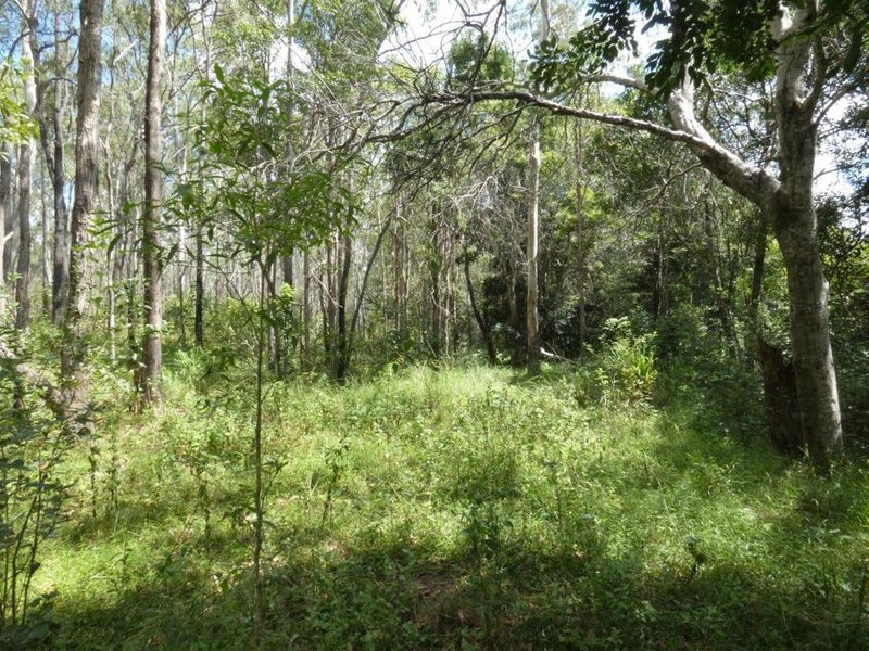 Photo - Lot 101 Mollenhagens Road, Rosedale QLD 4674 - Image 6