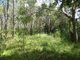 Photo - Lot 101 Mollenhagens Road, Rosedale QLD 4674 - Image 6