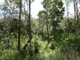 Photo - Lot 101 Mollenhagens Road, Rosedale QLD 4674 - Image 7