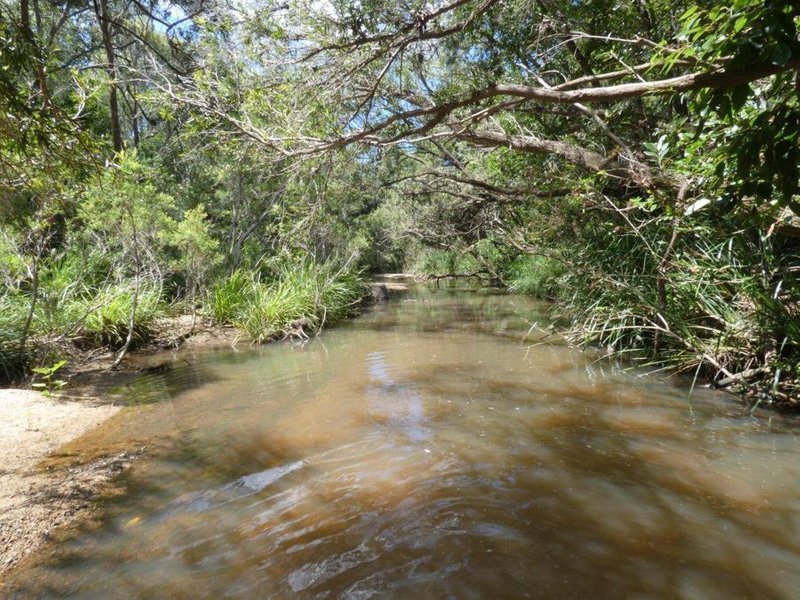 Photo - Lot 101 Mollenhagens Road, Rosedale QLD 4674 - Image 9