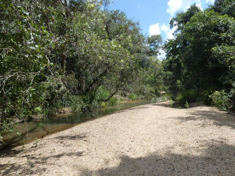 Photo - Lot 101 Mollenhagens Road, Rosedale QLD 4674 - Image 10