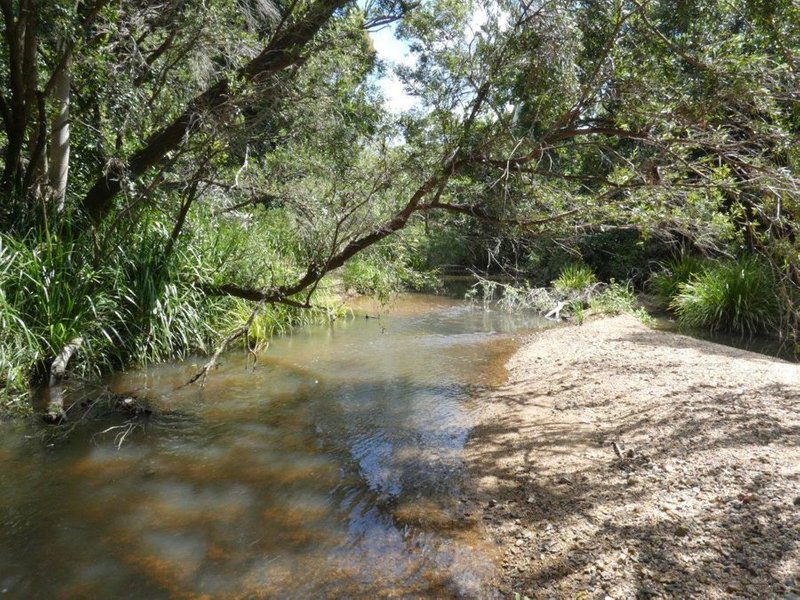 Photo - Lot 101 Mollenhagens Road, Rosedale QLD 4674 - Image 11