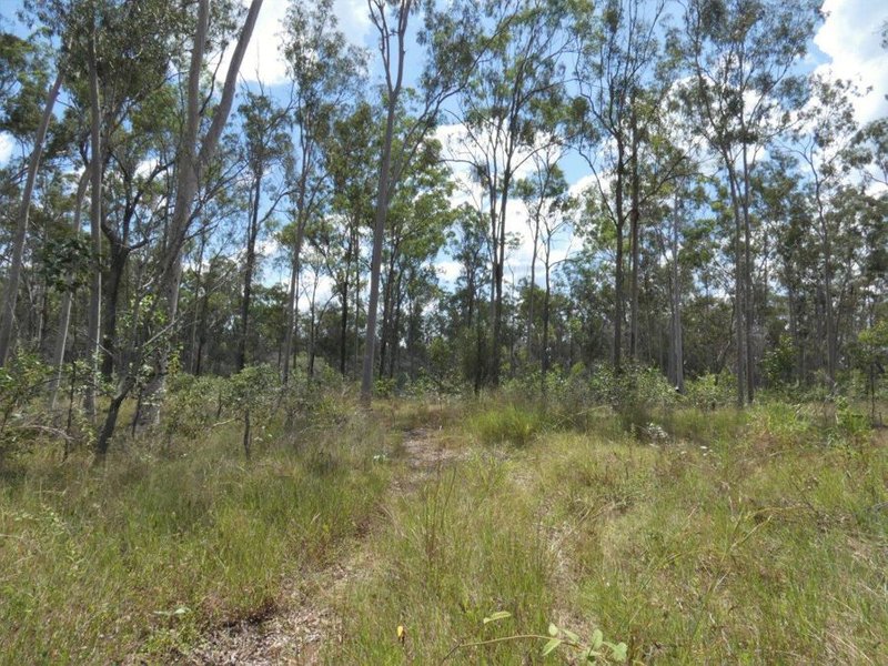 Photo - Lot 101 Mollenhagens Road, Rosedale QLD 4674 - Image 12