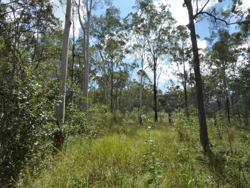 Photo - Lot 101 Mollenhagens Road, Rosedale QLD 4674 - Image 13