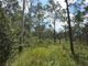 Photo - Lot 101 Mollenhagens Road, Rosedale QLD 4674 - Image 13