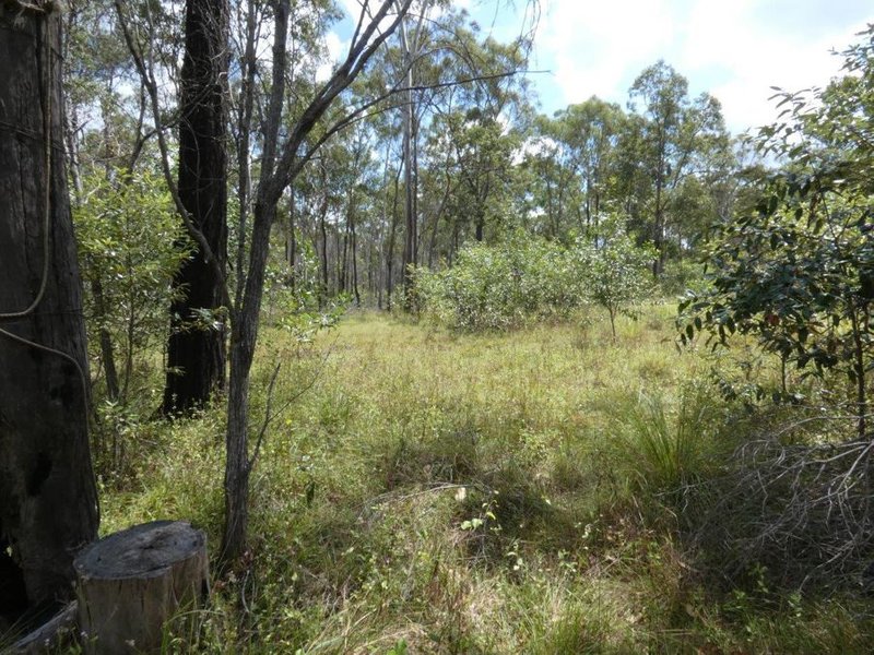 Photo - Lot 101 Mollenhagens Road, Rosedale QLD 4674 - Image 14