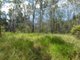 Photo - Lot 101 Mollenhagens Road, Rosedale QLD 4674 - Image 15