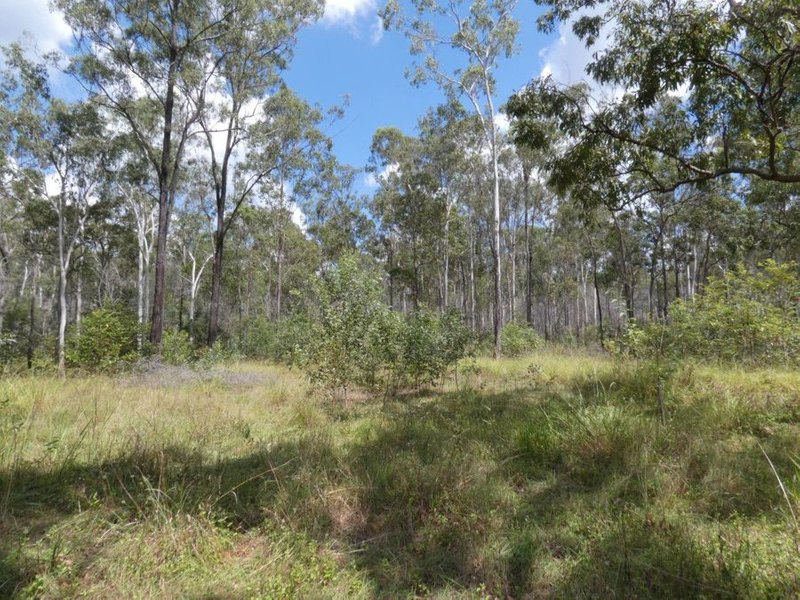 Photo - Lot 101 Mollenhagens Road, Rosedale QLD 4674 - Image 16