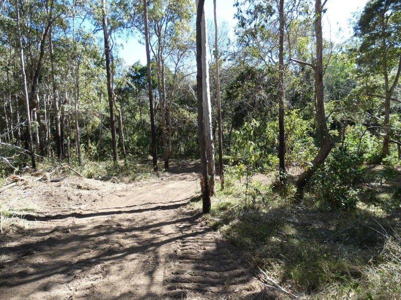 Photo - Lot 101 Mollenhagens Road, Rosedale QLD 4674 - Image 18