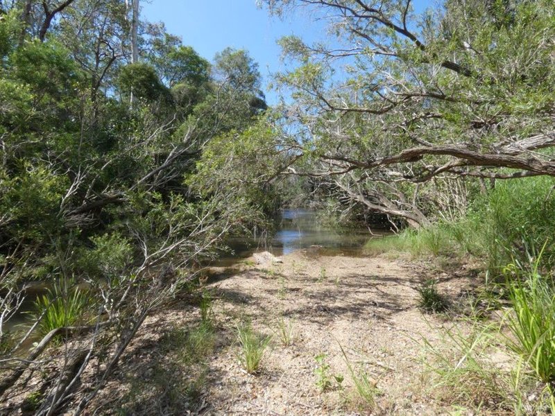 Photo - Lot 101 Mollenhagens Road, Rosedale QLD 4674 - Image 21