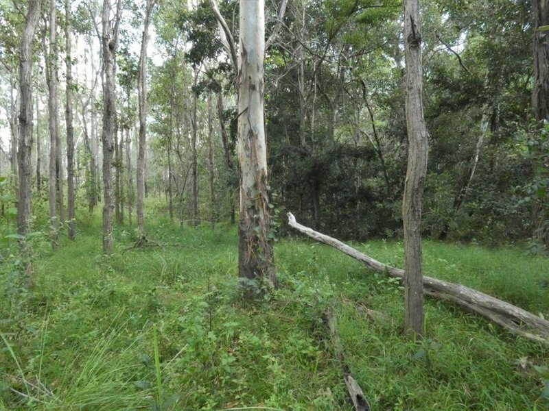 Photo - Lot 101 Mollenhagens Road, Rosedale QLD 4674 - Image 22