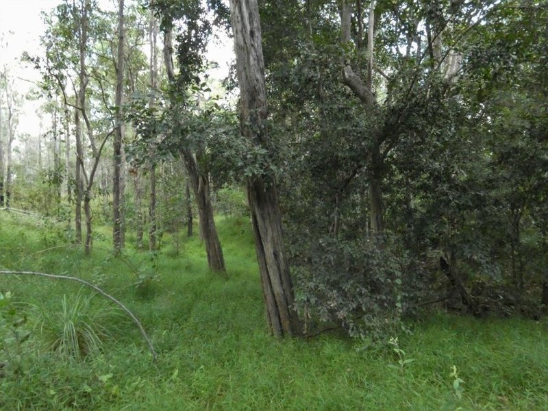 Photo - Lot 101 Mollenhagens Road, Rosedale QLD 4674 - Image 23